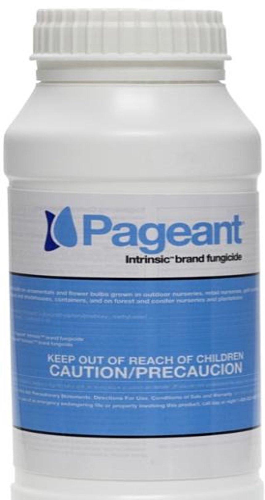 Pageant Intrinsic Brand Fungicide